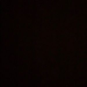 Meet your Posher, Alevtina